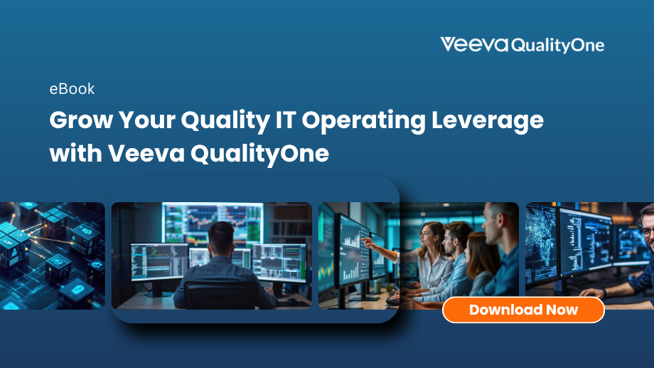 Grow Your Quality IT Operating Leverage | Consumer Goods Technology