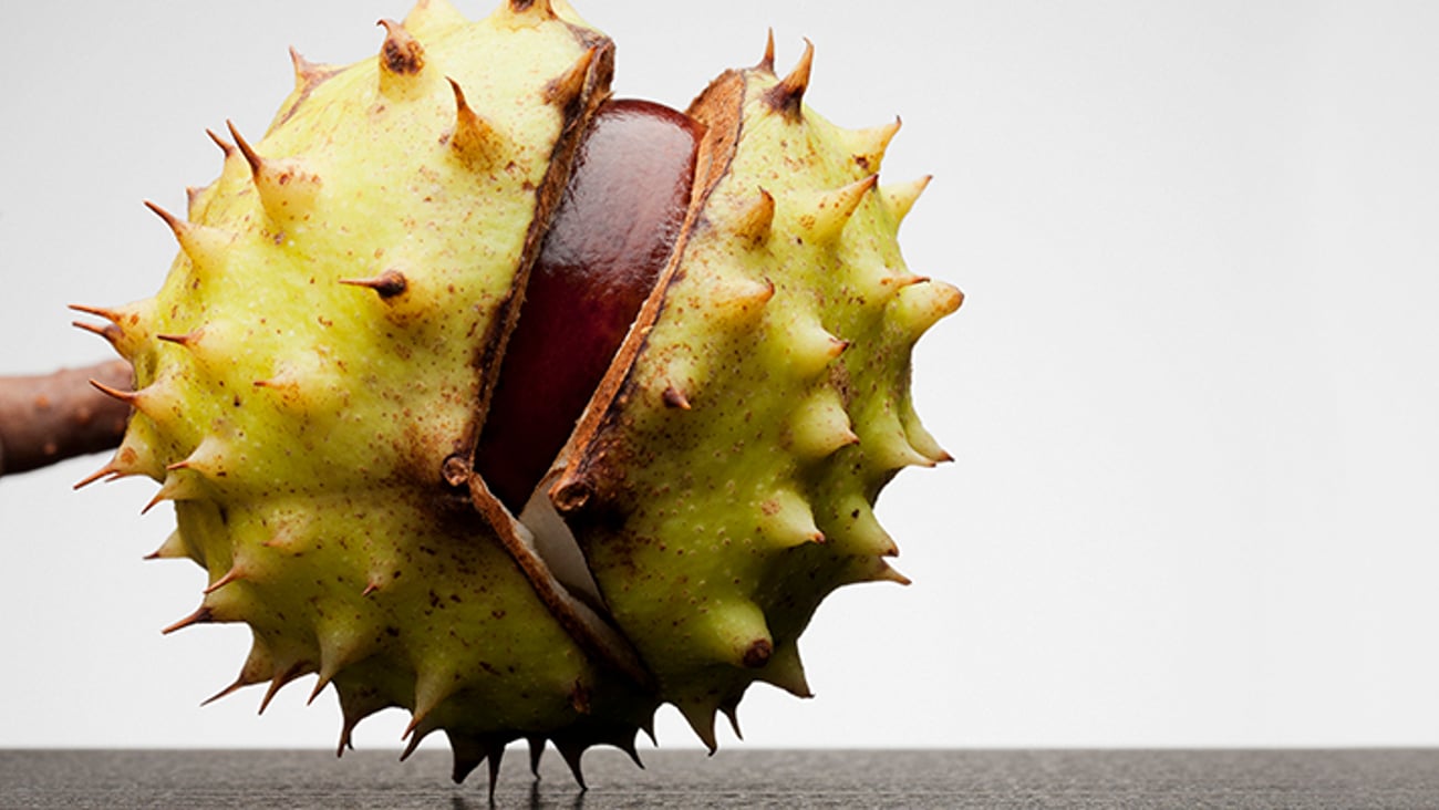 a close up of a pineapple