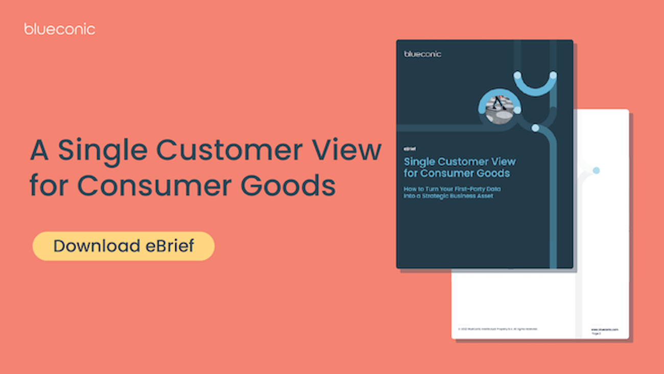 A Single Customer View for Consumer Goods ebrief teaser image