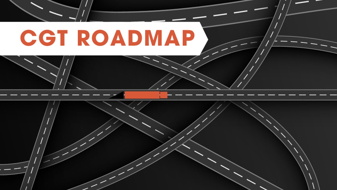Roadmap