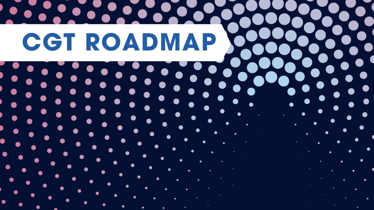 Roadmap Teaser Image