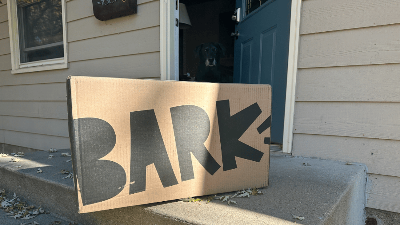 Bark