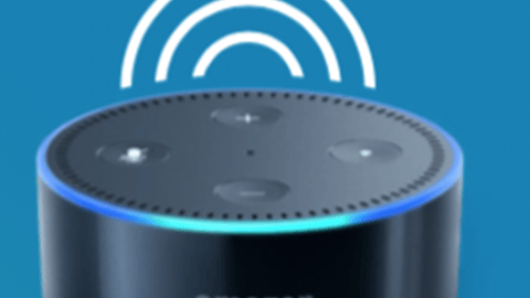 Echo Dot