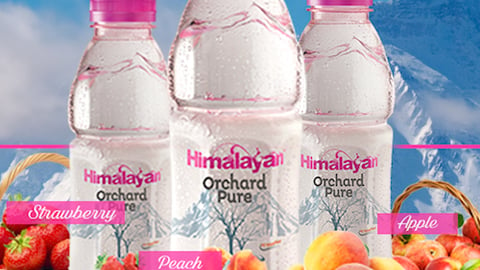 Himalayan Water from Tata Global Beverages