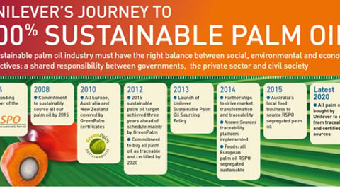 Unilever's palm oil transparency timeline