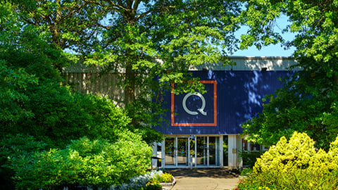 a tree in front of a building