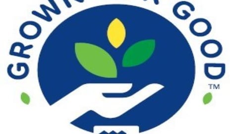 McCormick grown for good logo