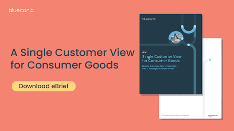 A Single Customer View for Consumer Goods ebrief teaser image