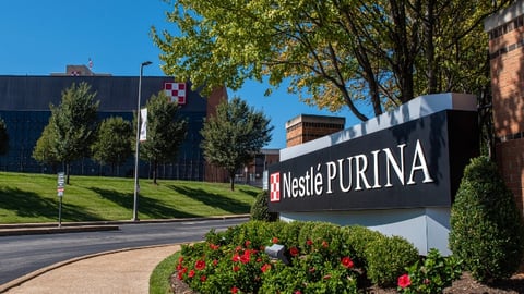 nestle purina HQ