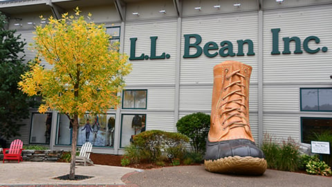 LL Bean