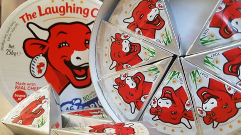 The Laughing Cow