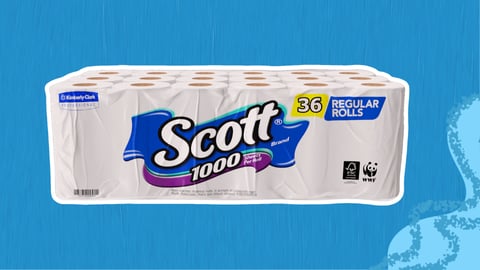 Scott Paper