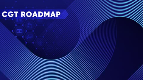 Retail Execution Roadmap