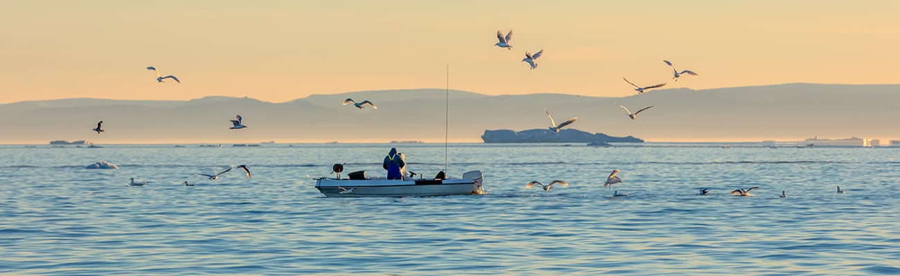 Disko Bay