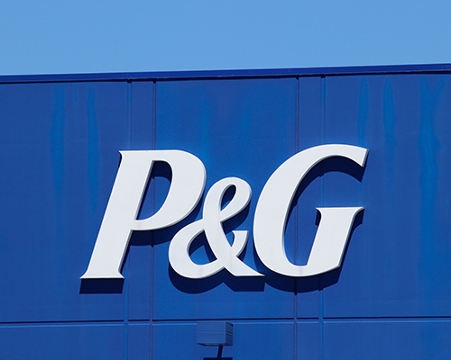 P&G grew organic sales in all categories. Editorial credit: Jonathan Weiss / Shutterstock.com