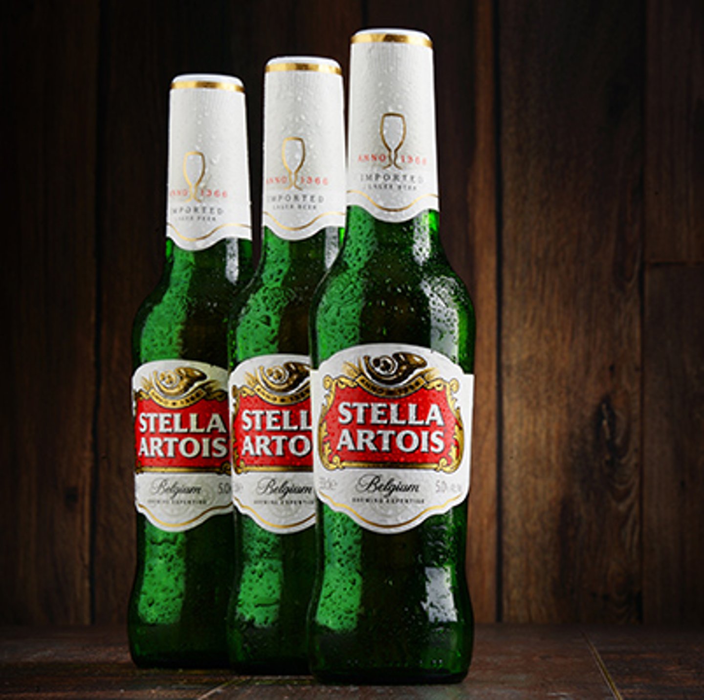 stella artois