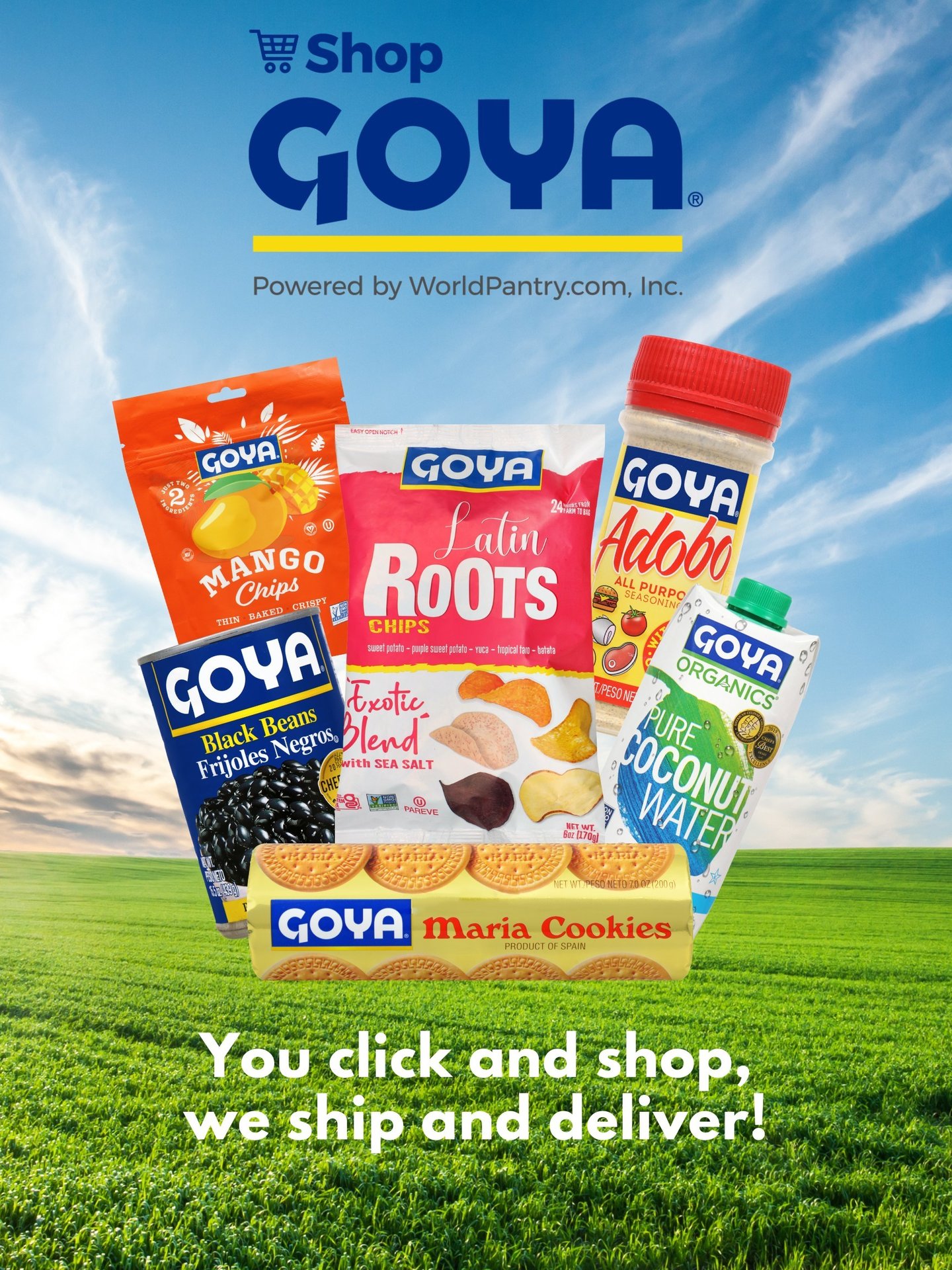 Flyer for Goya website