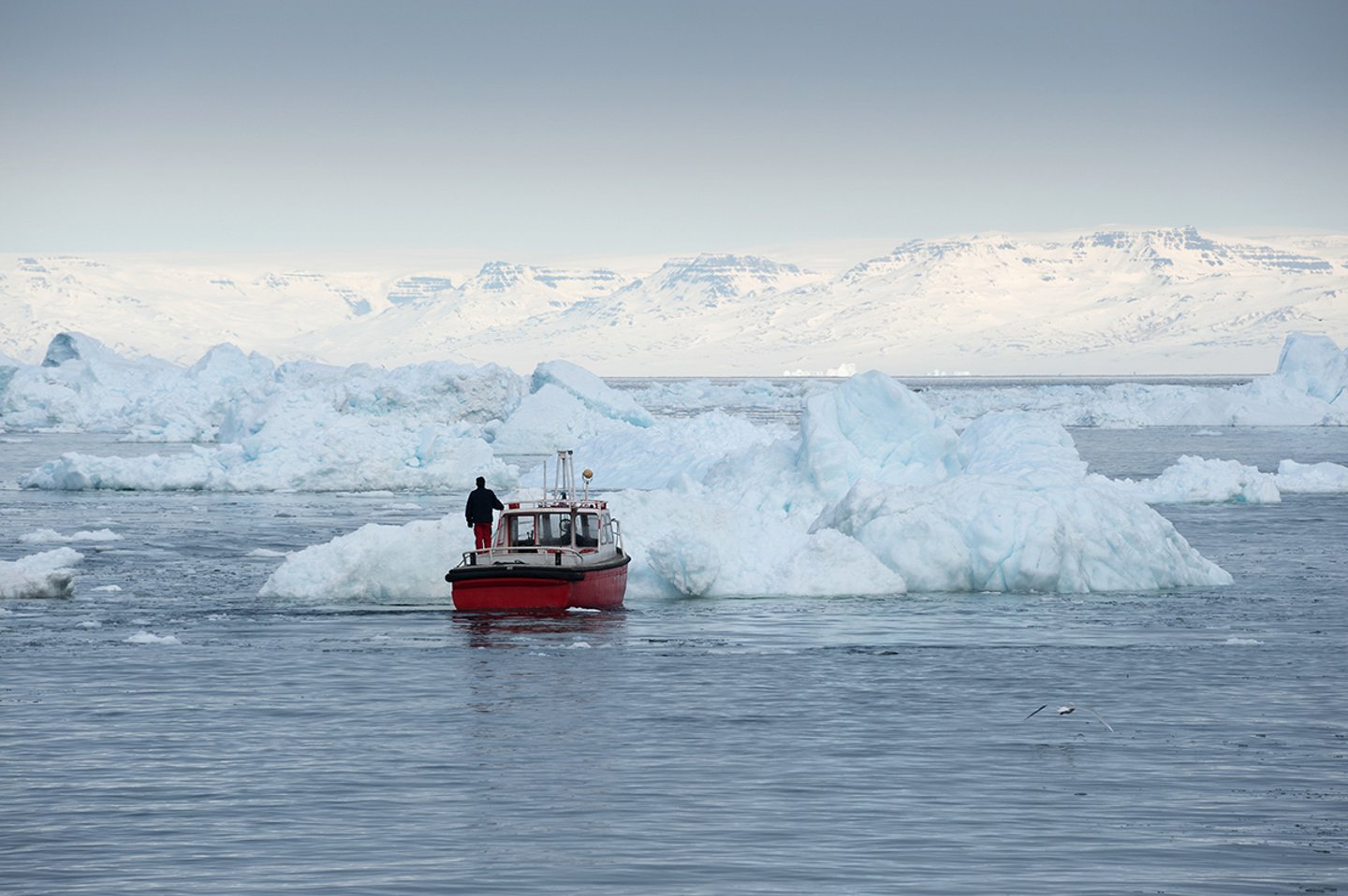 Disko Bay