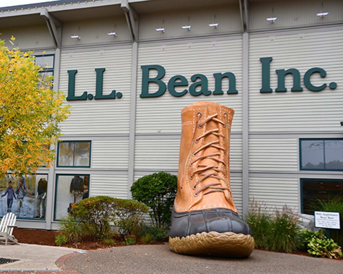 LL Bean interior