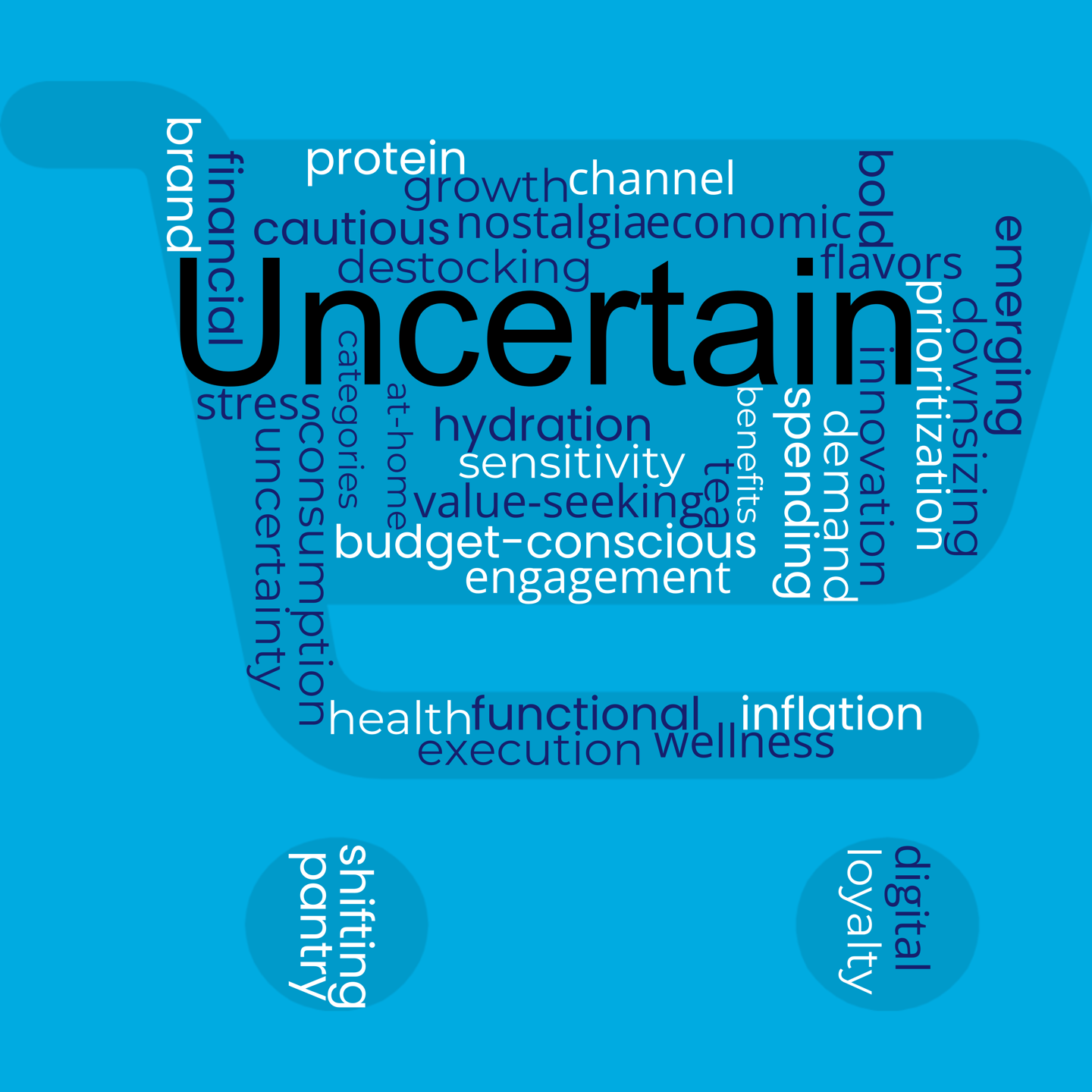 Consumer Landscape