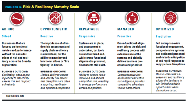 Maturity Scale