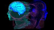Neural Network