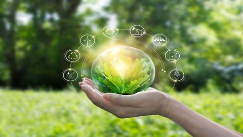 Person holding green globe, sustainability image