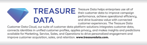 treasure data description