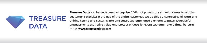 treasure data company description