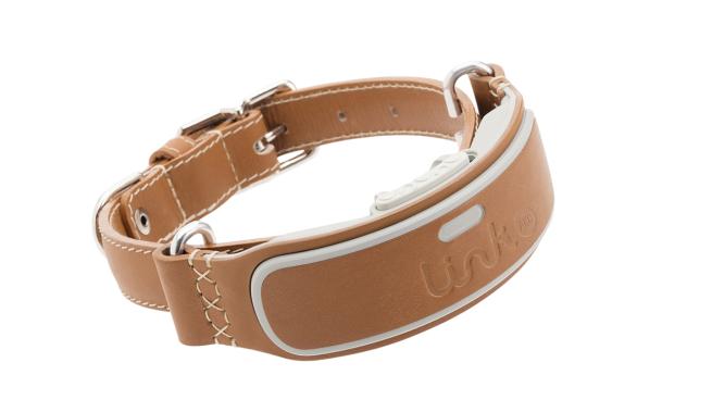 Wagz shop dog collar